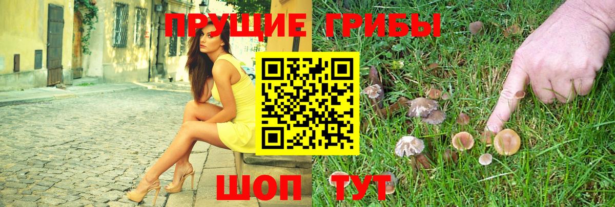 Подольск  Галлюциногенные грибы Cubensis  Вход с VPN 
